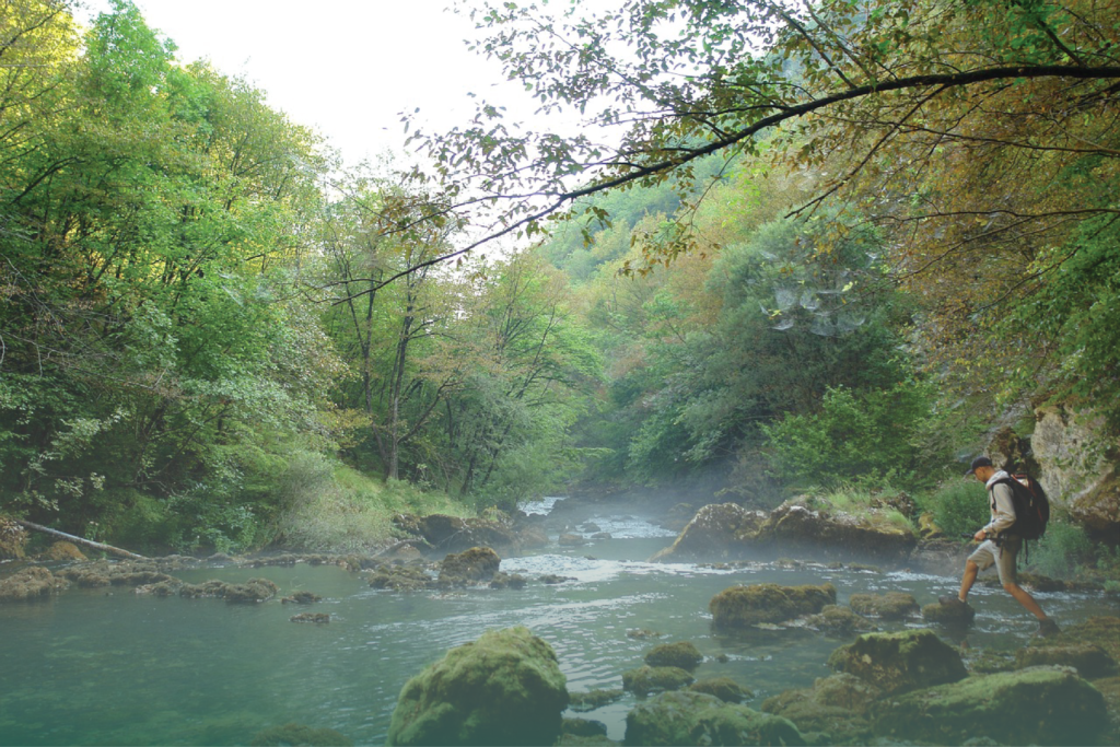 Travel’s Impact on Health and Wellbeing